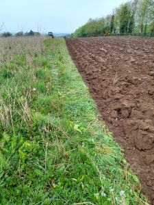 Robins Glen preparing the ground in spring 2024 for organic potatoes